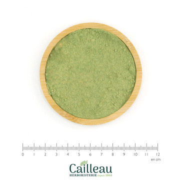 NOISETIER feuille poudre