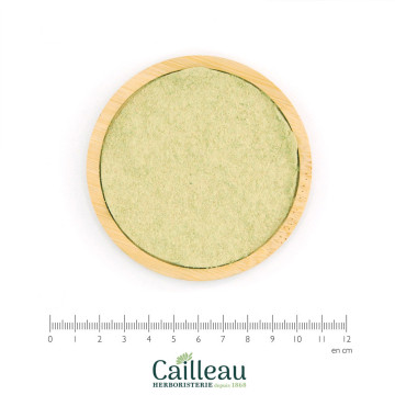 OLIVE leaf powder