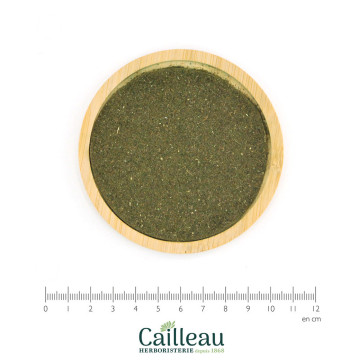 Polvo de hoja de PATCHOULI