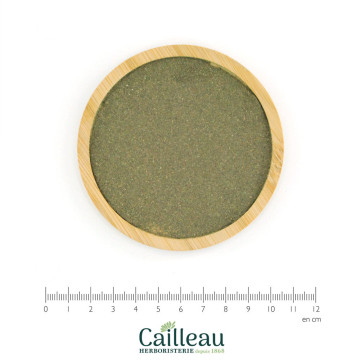 PLANTAIN (RIBWORT) leaf powder