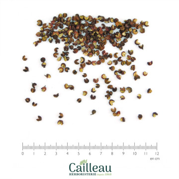 POIVRE SICHUAN grain