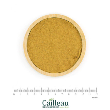 RHAPONTIC root powder