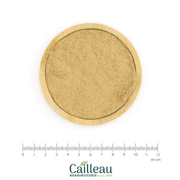 WILLOW bark powder