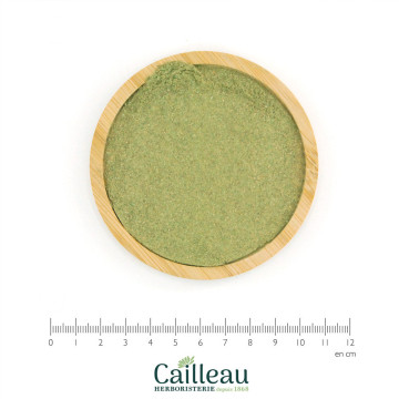 WILLOW leaf powder