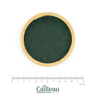SPIRULINA en polvo