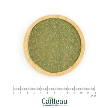 SOLIDAGE (GOLDEN VERGE)...