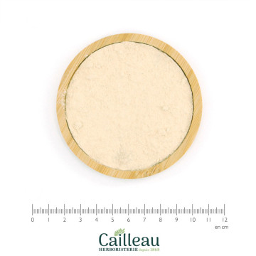 ASHWAGANDHA BIO racine poudre