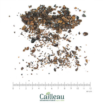 COCOA nibs, ORGANIC