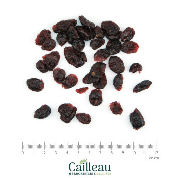 ARÁNDANO BIO frutos rojos