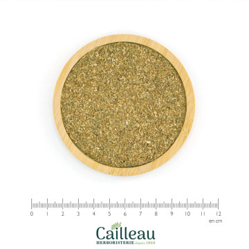 CORIANDER BIO fruta en polvo