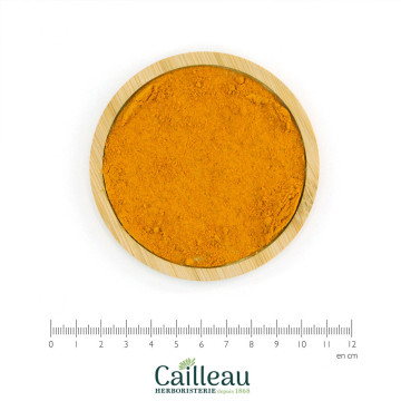 CURCUMA BIO racine poudre