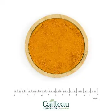 TURMERIC root, ORGANIC powder