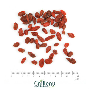 Baya BIO LYCIET (GOJI)