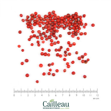 PEPPER (PERUVIAN) berry,...