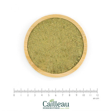 Polvo de hoja de ROMERO BIO