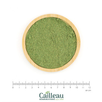 SAUGE OFFICINALE DE FRANCE...