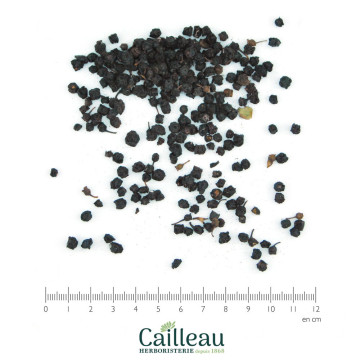 BLUEBERRY fruit, ORGANIC