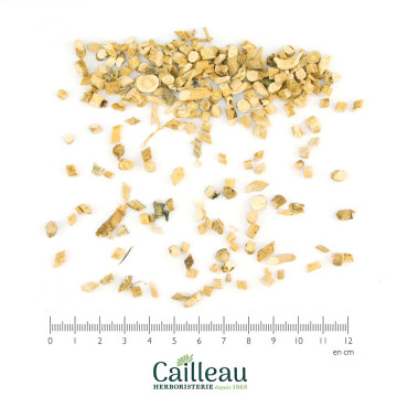 MILK VETCH (HUANG QI) root cut