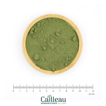 AIL DES OURS feuille poudre