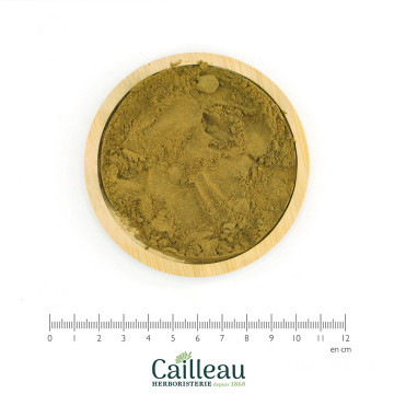 ALOES D'AFRIQUE DU SUD...