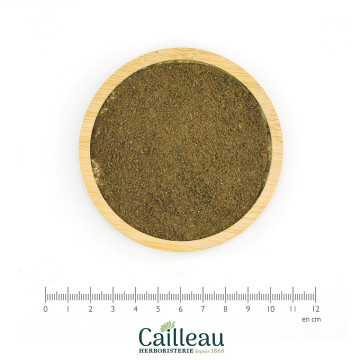 DILL fruit powder