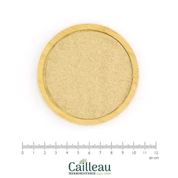 ANGELICA root powder