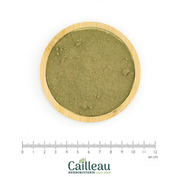 Polvo de hoja BASILIC