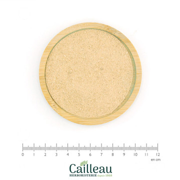 BIRCH bark powder
