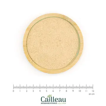 BIRCH bark powder