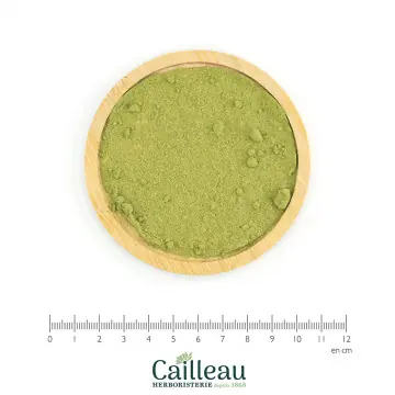 BEARBERRY leaf powder
