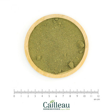 BLACKCURRANT leaf powder