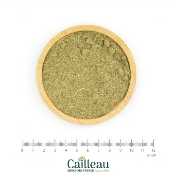 CENTAUREE PETITE sommité...