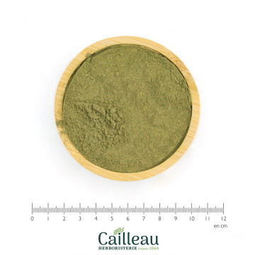 COMBRETUM (KINKELIBA) hoja...