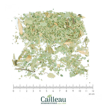 ASH leaf, standard grade cut
