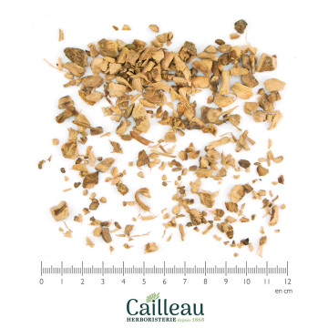 GALANGAL root cut