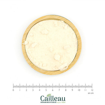 GINSENG BLANCO raíz en polvo
