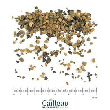 GUARANA seed cut