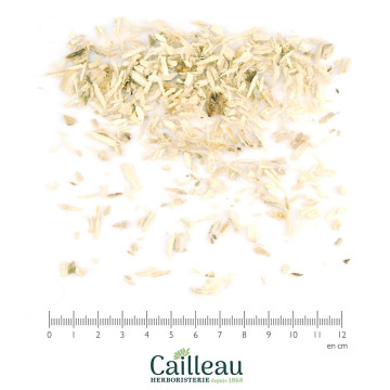MARSHMALLOW root, peeled cut