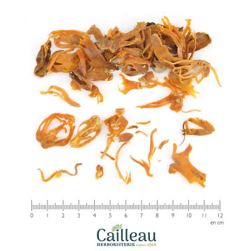 NUTMEG aril cut