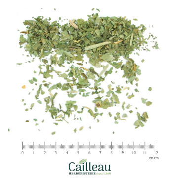 CLOVER (MARSH) leaf cut