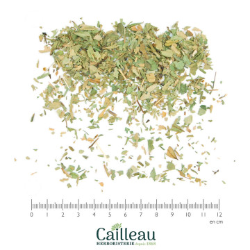 MYRTE feuille coupé