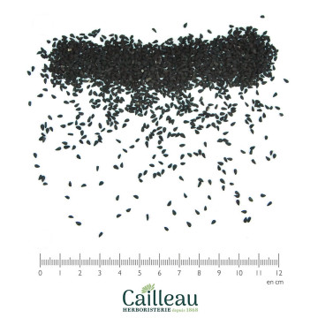 CANELA (CUMIN NOIR) semilla