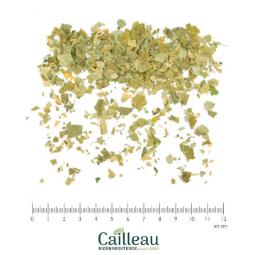 PECHER feuille coupé