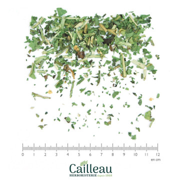 Hoja de DANDELION, cortada