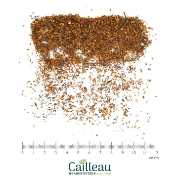 ROOIBOS