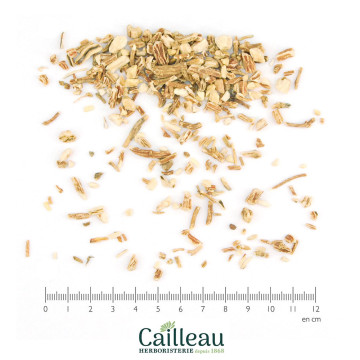 SOAPWORT root cut