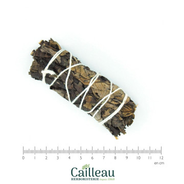 BLACK SAGE (ARTEMISIA) bundle