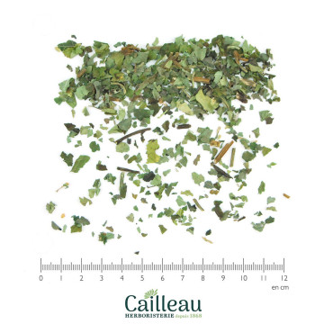 SUREAU feuille coupé