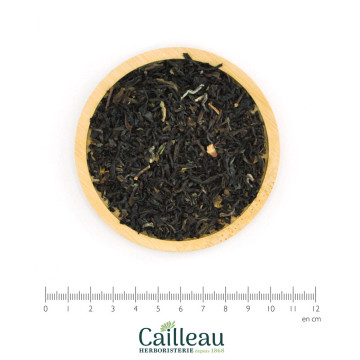 EL NOIR DARJEELING