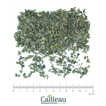 Hoja VERT GUNPOWDER